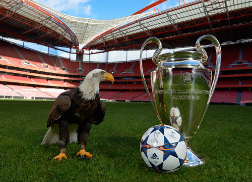 热刺vs布伦特福德前瞻：热刺5轮不胜 主场要擒客小蜜蜂提升士气（热刺迎战布伦特福德前瞻：近5轮未胜，力争主场拿下“小蜜蜂”提振士气）